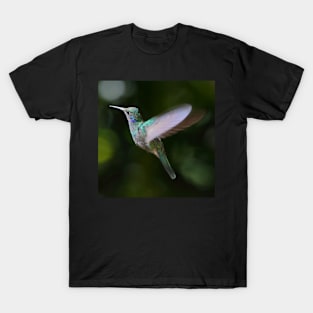 Green Violetear Hummingbird T-Shirt